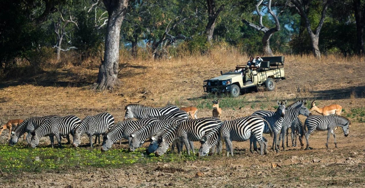 Южная Луангва — национальный парк в Замбии в среднем течении реки Луангва
