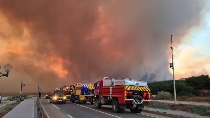 От лесных пожаров во Франции пострадало более 27 человек