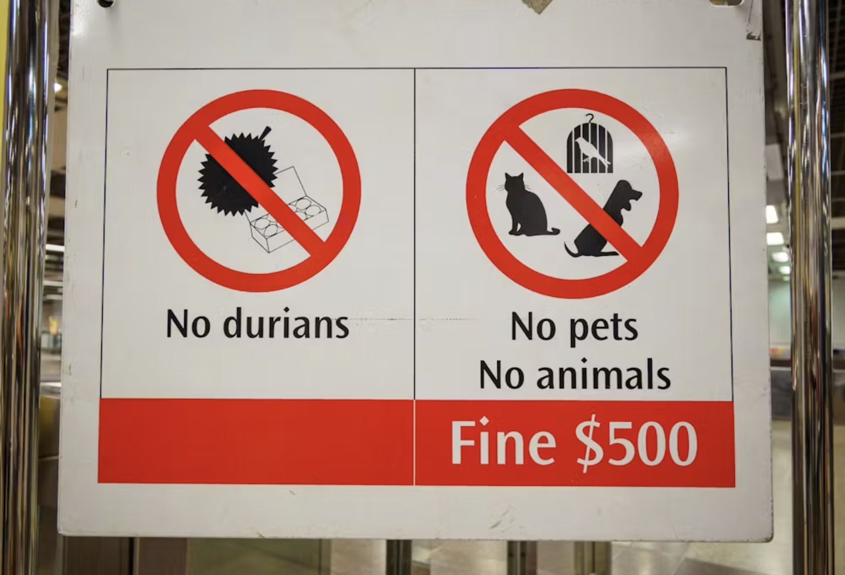 Можно ли вывозить дуриан из Таиланда?