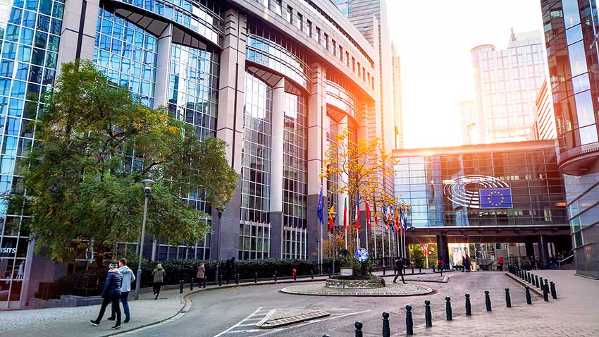 Гражданство ЕС для россиян: на каких условиях возможно