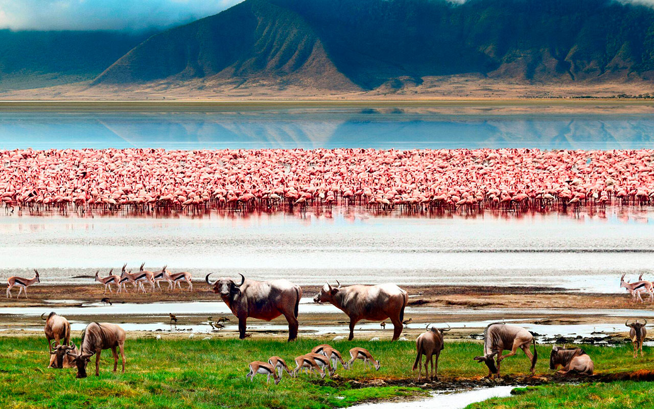 Озеро Маньяра — национальный парк и тропический оазис