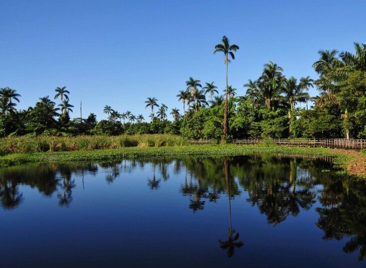 Заповедник Royal Palm Reserve
