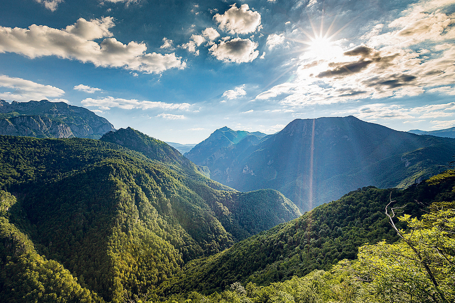 Природа национального заповедника Сутеска