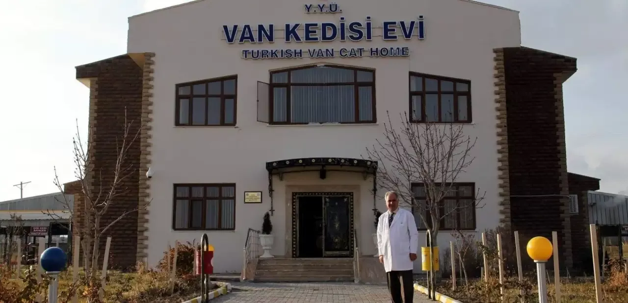Дом Ванских кошек (Van Kedisi Evi)
