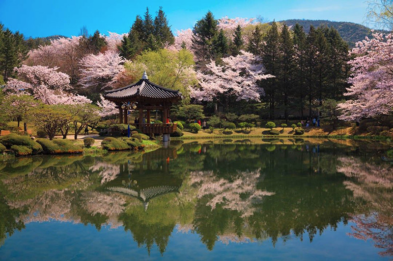 Озеро Помун (Помунхо; Bomun Lake)