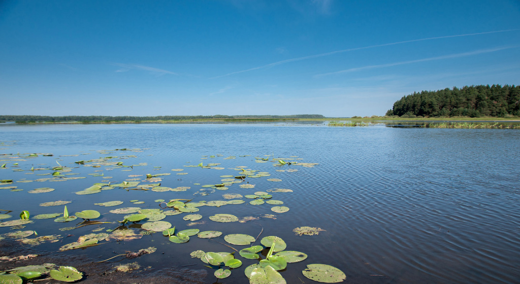 Клепиковские озёра Клепиковские озёра