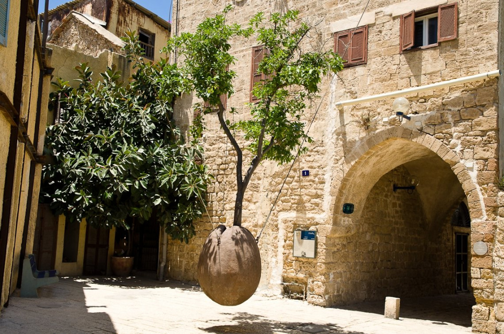 Парящее апельсиновое дерево Парящее апельсиновое дерево