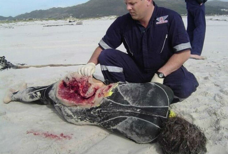 Опасности Австралии — Акулы Опасности Австралии — Акулы