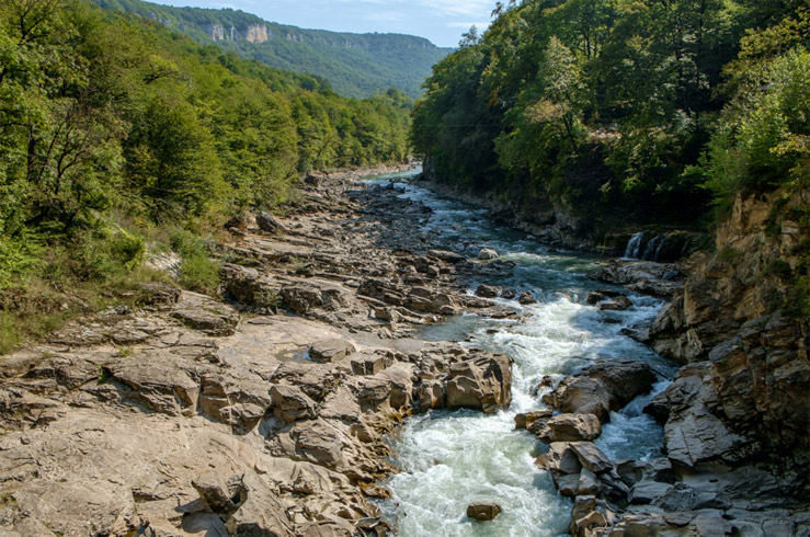 Три братца Три братца