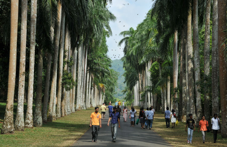 Королевский Ботанический сад
