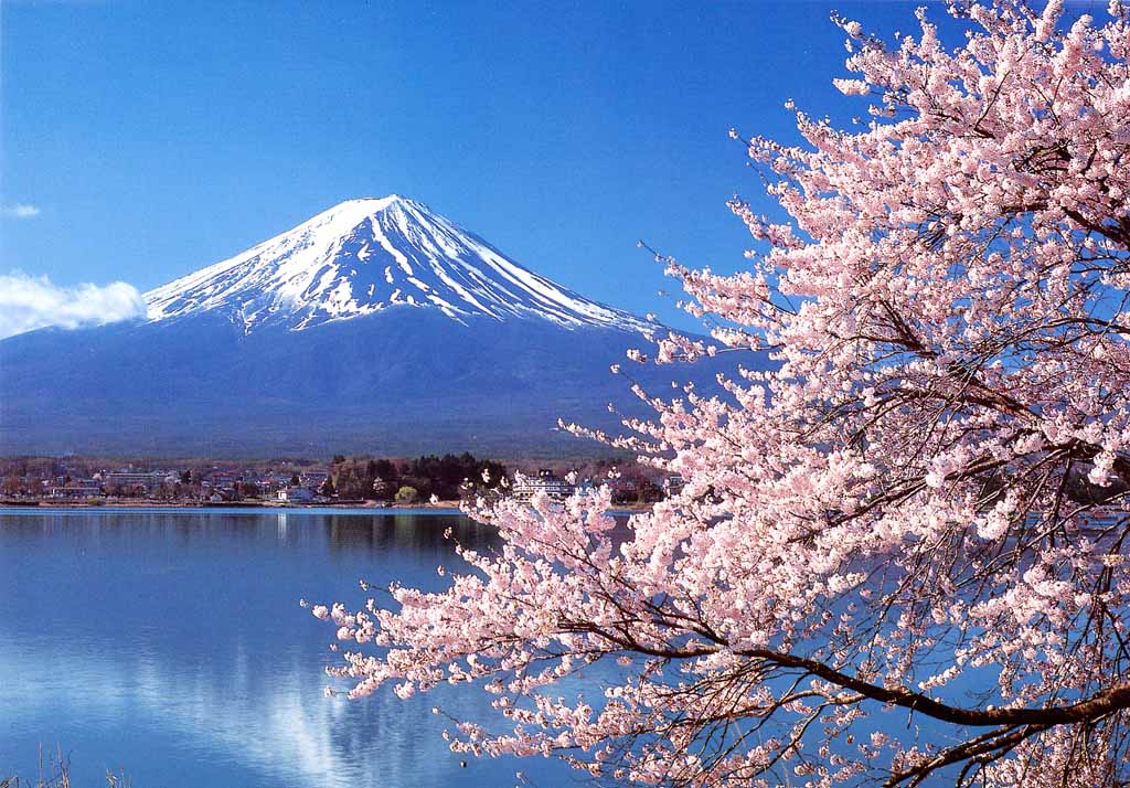 Послабление оформления виз в Японию распространится на организованные туристические группы