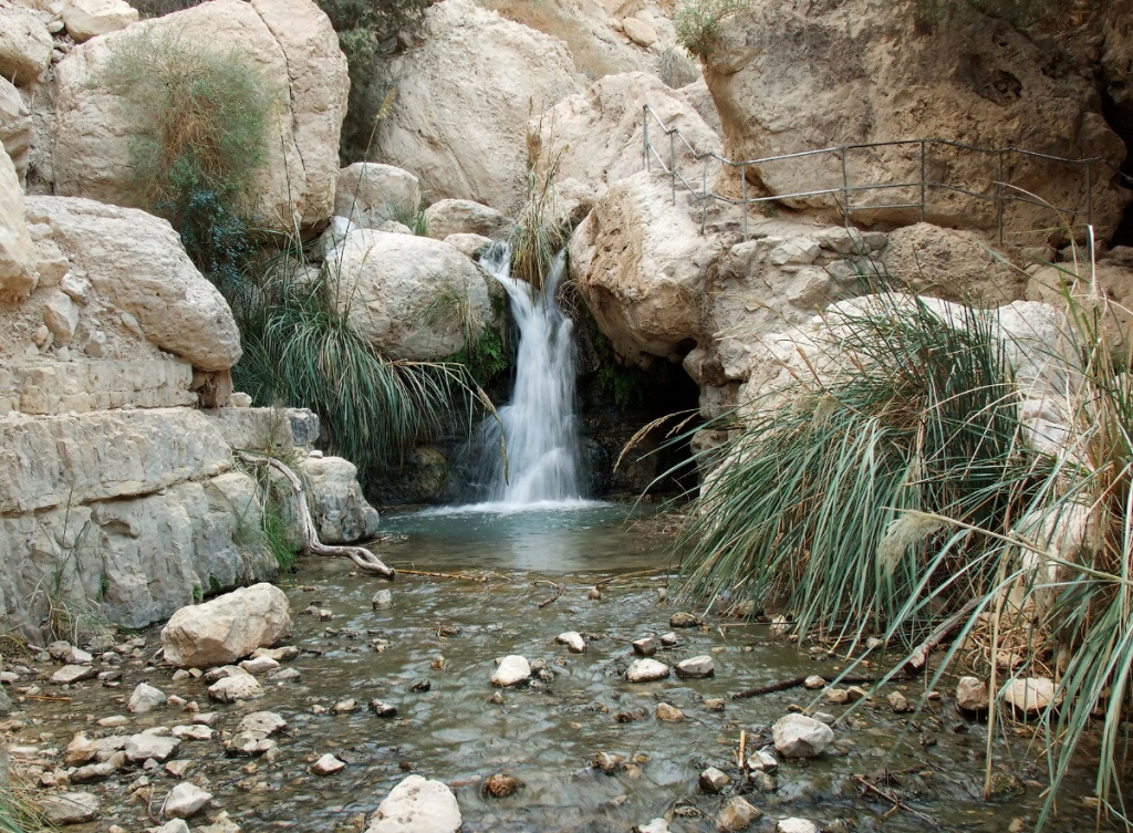 Заповедник Эйн-Геди Заповедник Эйн-Геди