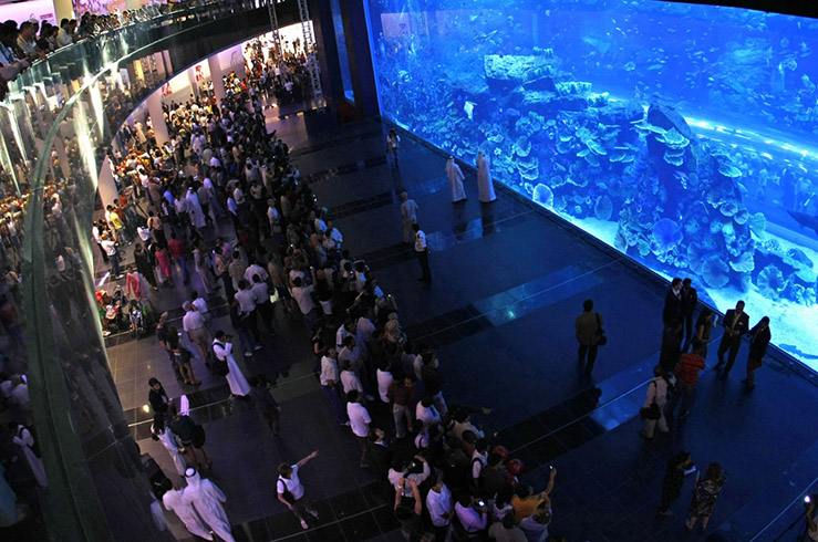 ДУБАЙСКИЙ ОКЕАНАРИУМ (DUBAI AQUARIUM AND UNDERWATER ZOO) ДУБАЙСКИЙ ОКЕАНАРИУМ (DUBAI AQUARIUM AND UNDERWATER ZOO)