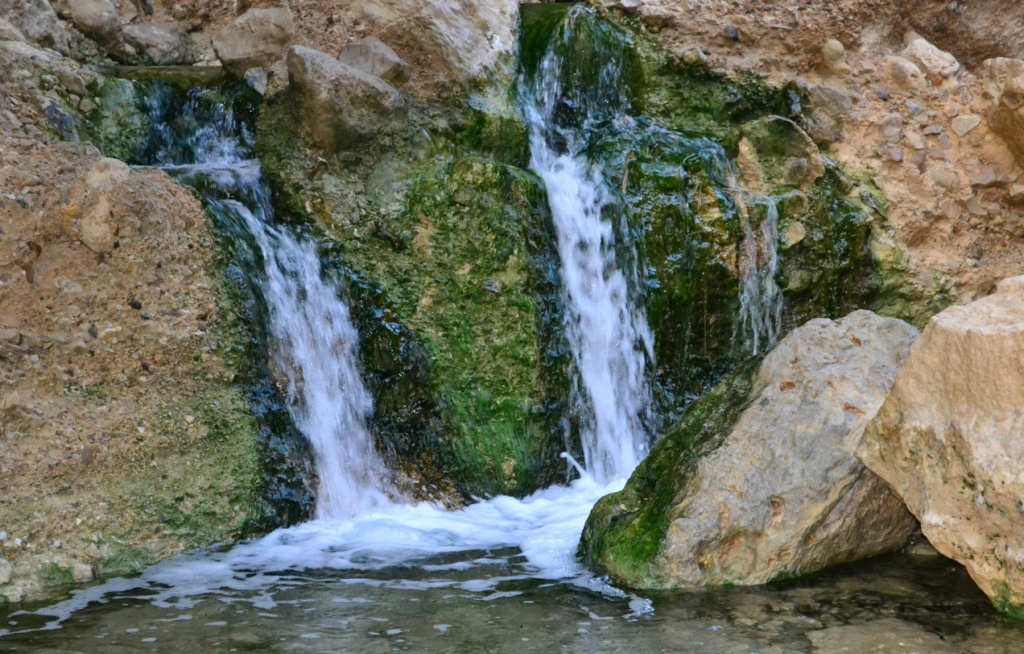 Ручей Бокек (нахаль Бокек) Ручей Бокек (нахаль Бокек)