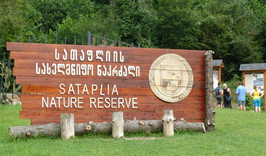 Сатаплийский заповедник (Sataplia Nature Reserve) Сатаплийский заповедник (Sataplia Nature Reserve)