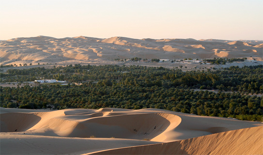 Оазис Лива (Liwa Oasis)