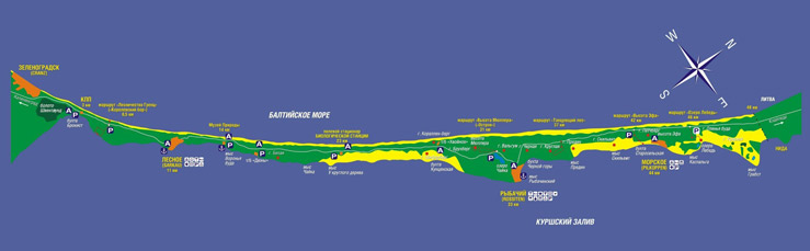 Карта Куршской косы Карта Куршской косы
