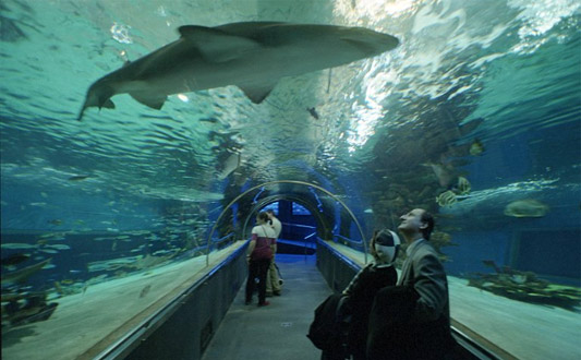 Тропикариум-Океанариум Тропикариум-Океанариум