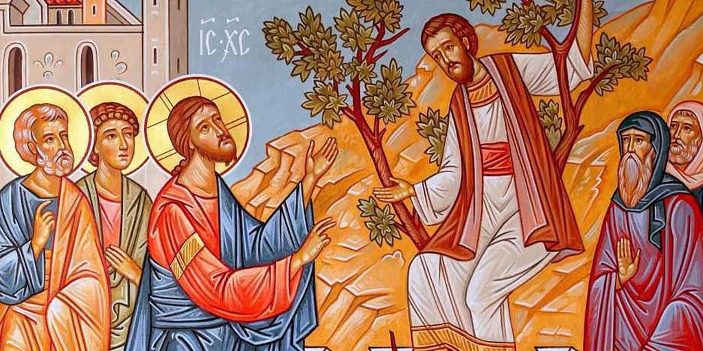 Двухтысячелетняя смоковница Закхея и Российский музей Двухтысячелетняя смоковница Закхея и Российский музей