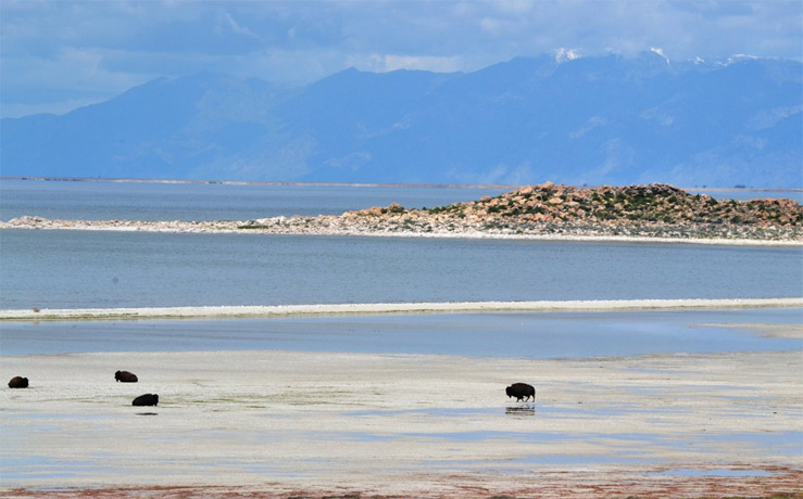 Крупнейшие соленые озера мира - Большое Солёное Озеро 