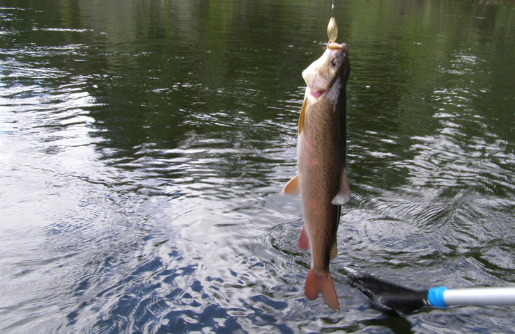 Рыболовный рай на реке Хамсара Рыболовный рай на реке Хамсара