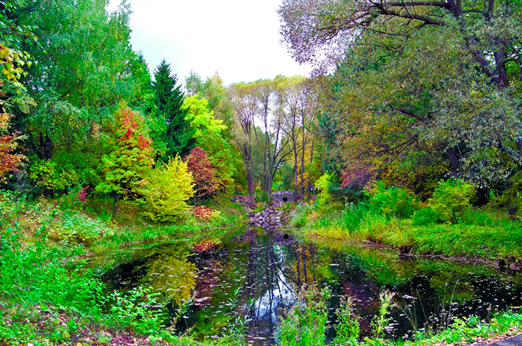 Дендрологический сад Дендрологический сад