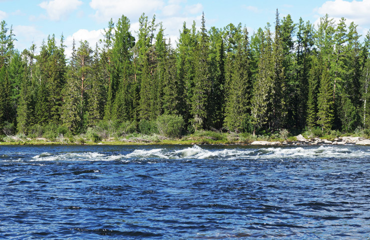 Река Хамсара