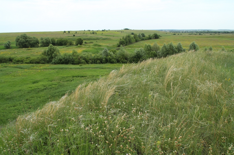 Лубянское городище