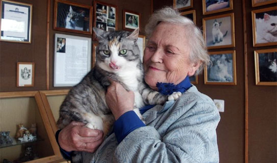 Музей кошек и его основатель со своим питомцем