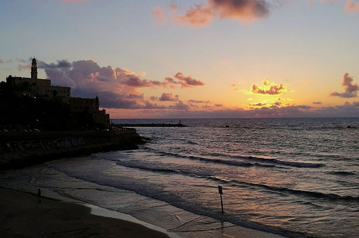 Альма (Alma) Альма (Alma)