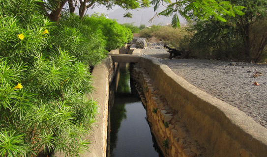 Оросительный канал Дарис (Falaj Daris)