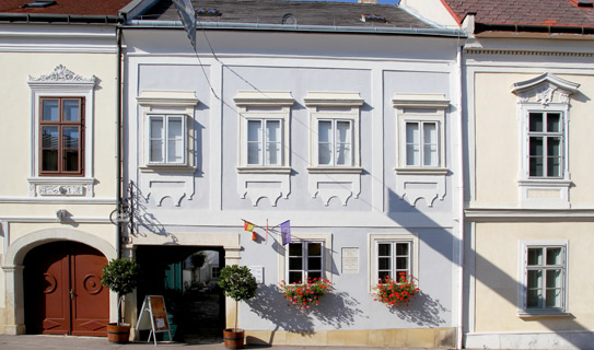 Музей Франца Йозефа Гайдна (Haydn-Haus)