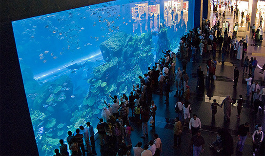 Аквариум (Aquarium of the Dubai mall)