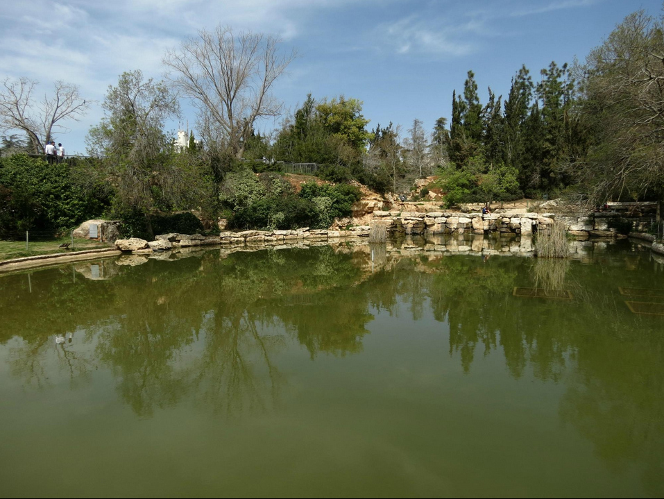 Парк “Wohl Rose” Парк “Wohl Rose”