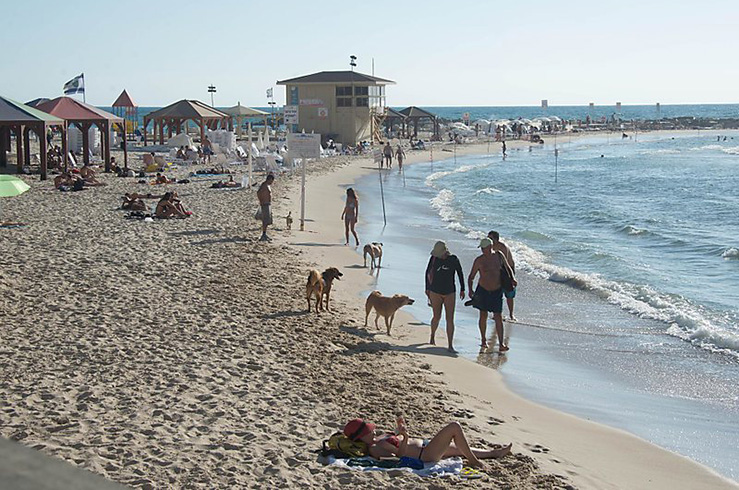 Чарльз Клор (Charles Clore) Чарльз Клор (Charles Clore)