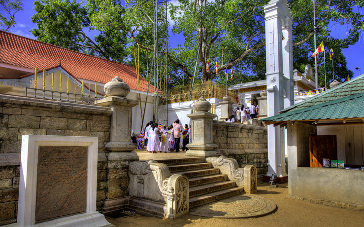 Джайя Шри Маха Бодхи (Jaya Sri Maha Bodhi), Анурадхапура 