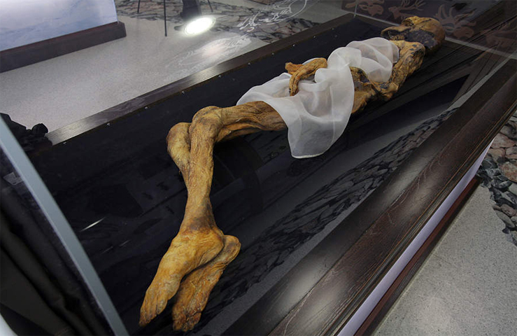 Знаменитая мумия Алтайской принцессы