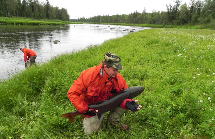 Рыболовный рай на Хамсаре Рыболовный рай на Хамсаре