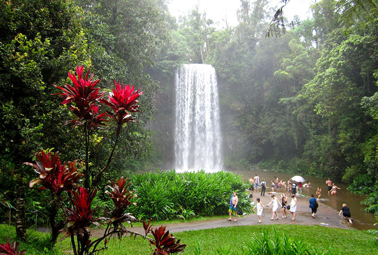Водопад Милла-Милла (Millaa Millaa) в окрестностях Атертона