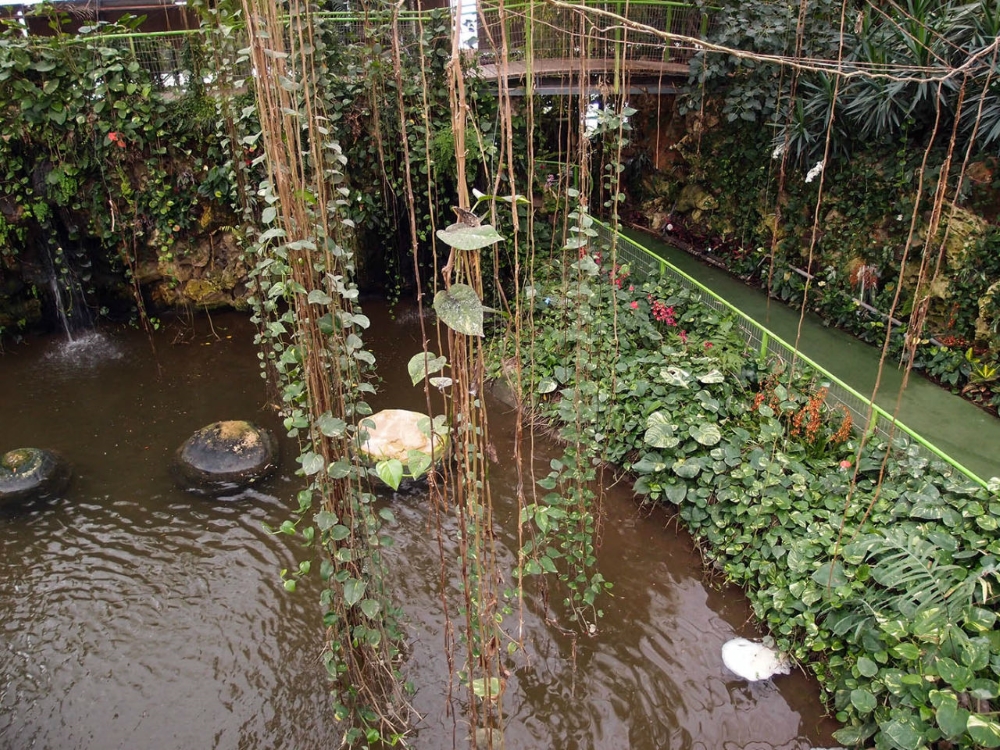 Парк утопия