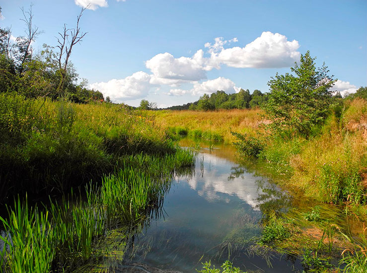 Урочище Марья Святая Урочище Марья Святая