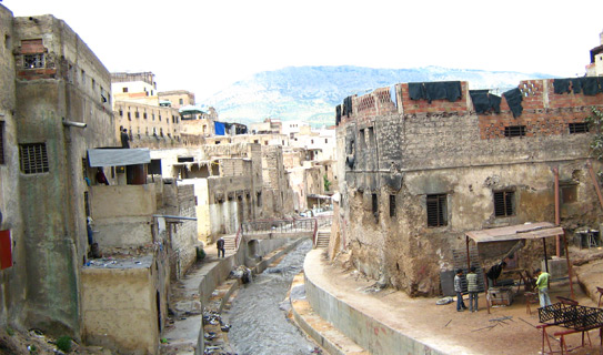 Фес-эль-Бали (Fes el Bali)