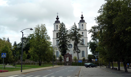 Костёл Вознесения Святой Девы Марии в Зарасае