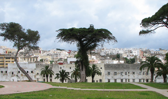 Сады Мендоубия (Mendoubia Gardens) Сады Мендоубия (Mendoubia Gardens)