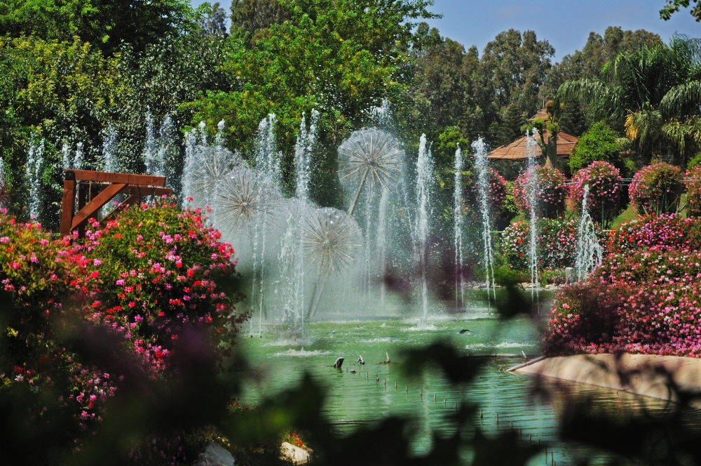 Парк утопия